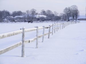 Winter Plumbing