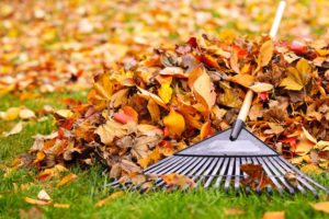 5 Fall Plumbing Tips to Keep in Mind