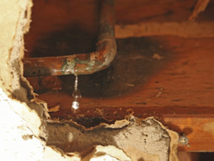How Emergency Plumbing Services Can Stop Leaks