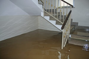 5 Methods to Prevent Flooding in Your Basement