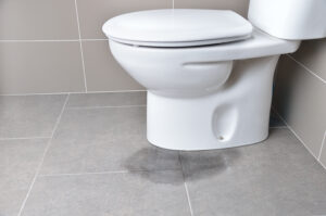 Mahon Plumbing Leaky Toilet
